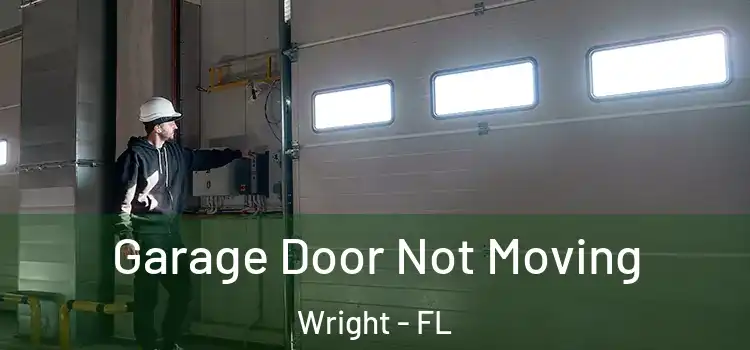  Garage Door Not Moving Wright - FL