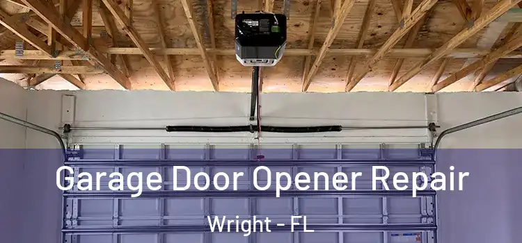  Garage Door Opener Repair Wright - FL