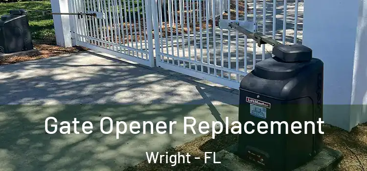 Gate Opener Replacement Wright - FL